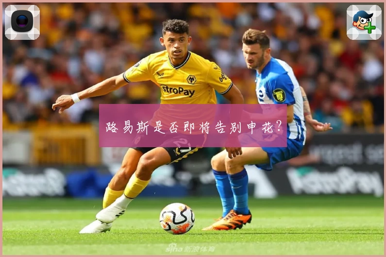 路易斯是否即将告别申花？